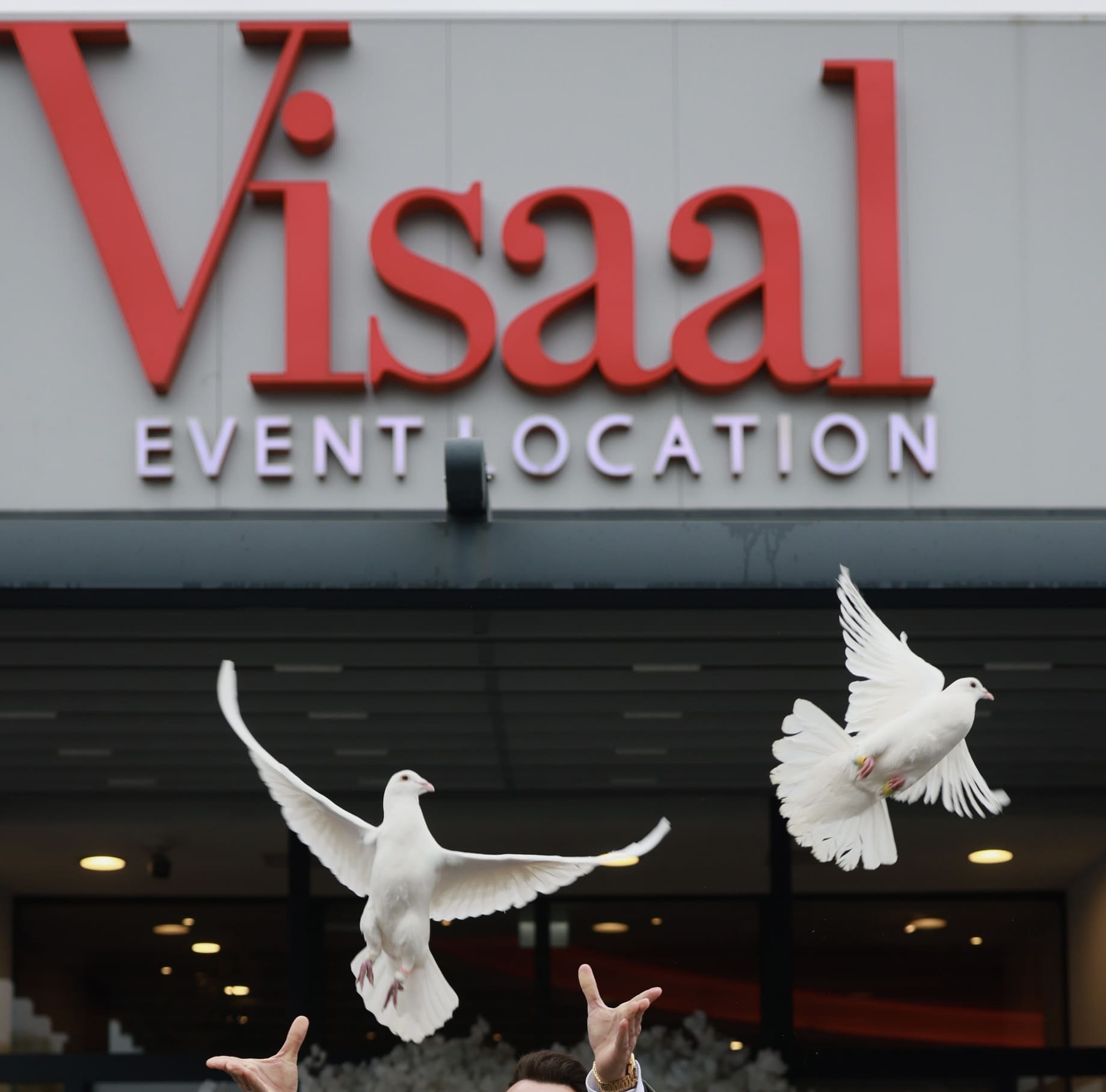 Taubenflug vor der Visaal Event Location – zwei weiße Tauben steigen unter dem Schriftzug auf